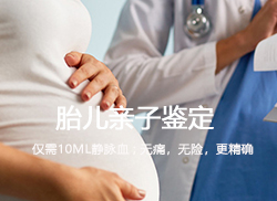 四川怀孕几个月要如何办理胎儿亲子鉴定,四川无创产前亲子鉴定大概多少费用 四川怀孕几个月要如何办理胎儿亲子鉴定,四川无创产前亲子鉴定大概多少费用