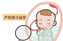 四川怀孕2个月能做胎儿亲子鉴定吗（预约办理），四川做无创产前亲子鉴定费用多少钱啊